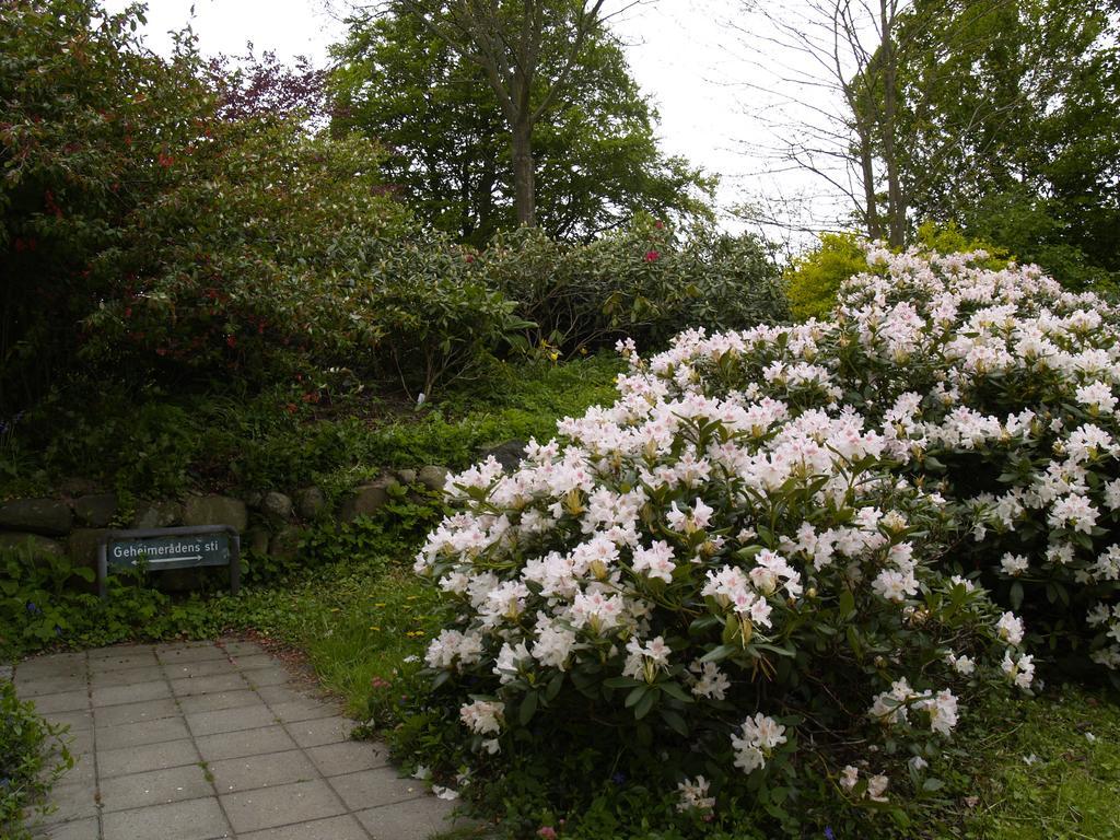 Juhl's Bed&Breakfast Kolding Zimmer foto