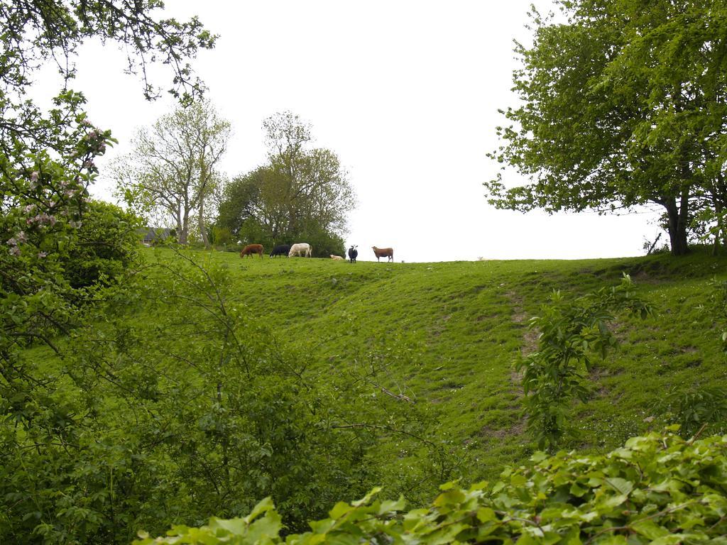 Juhl's Bed&Breakfast Kolding Zimmer foto